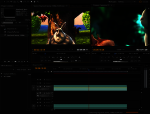 adobe premiere