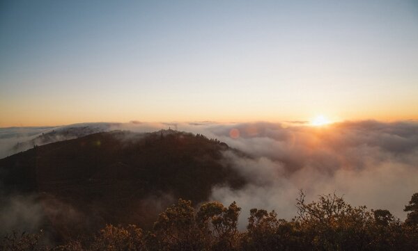 Photo Demo 4